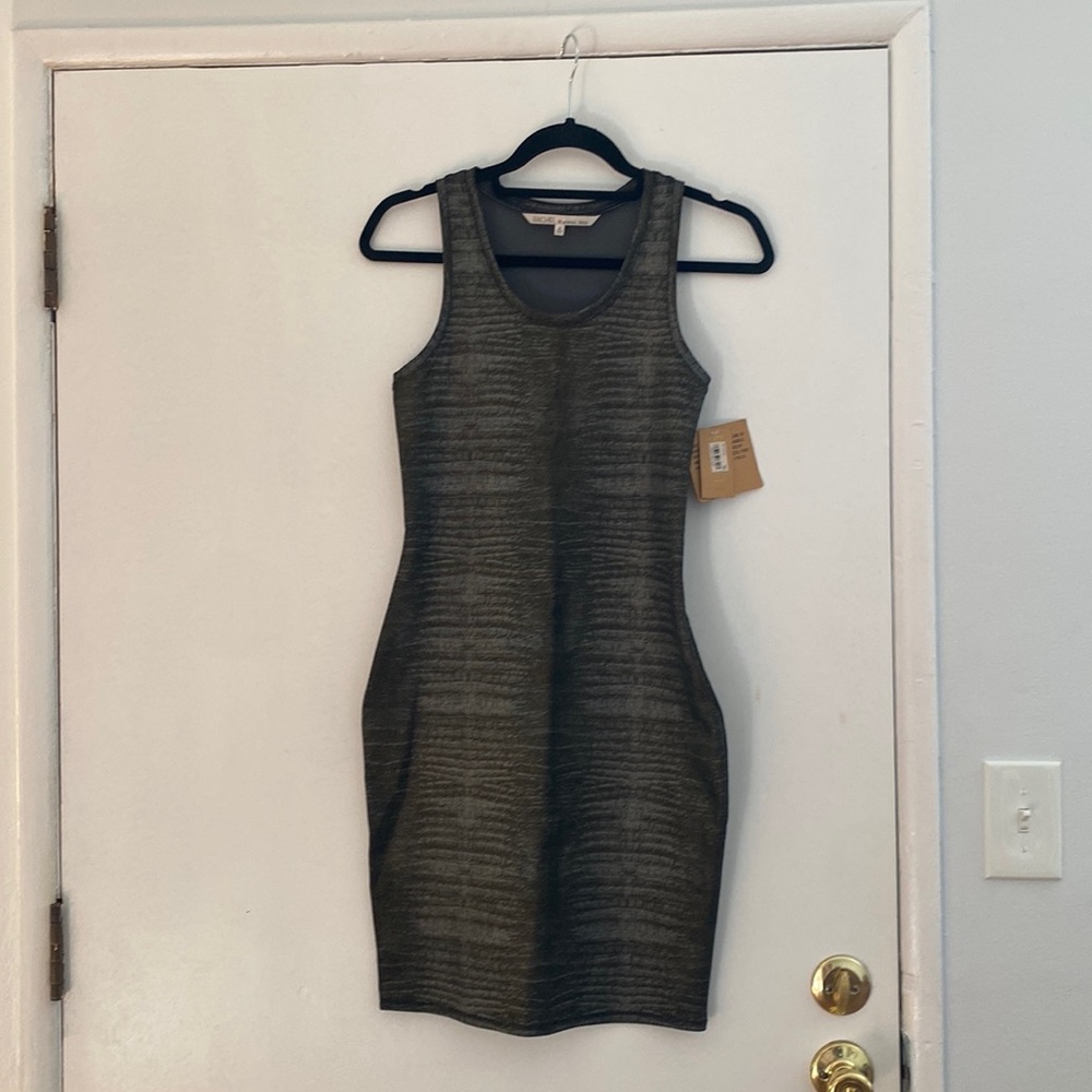 Brand NEW Sheer Back Rachel Roy Dress